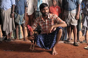 telugu,thamil star hero dhanush,adukalam,pandemkollu,thapsi  ధనుష్ తెలుగు లో హిట్ కొడతాడా..!